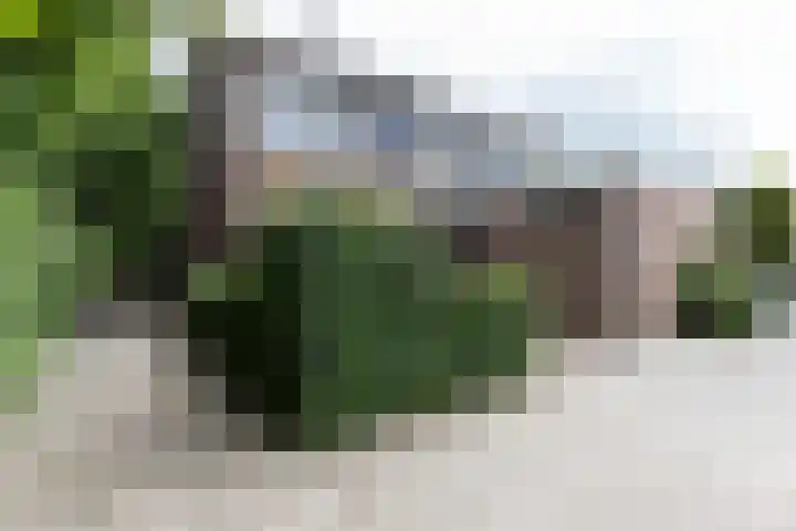 Wezellaan 254 Winschoten thumbnail 6