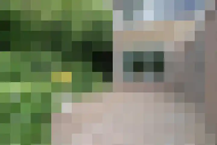 Wezellaan 254 Winschoten thumbnail 8