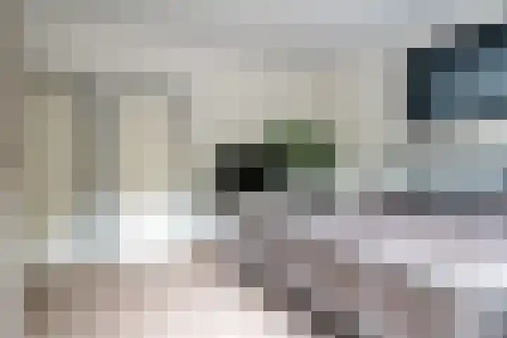 Wezelpad 9 Etten-Leur thumbnail 20