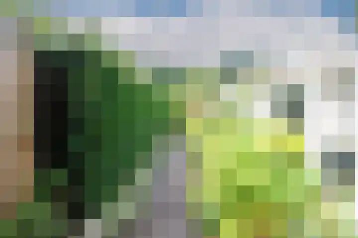 Wezelpad 9 Etten-Leur thumbnail 30