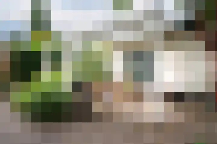 Wezelpad 9 Etten-Leur thumbnail 31