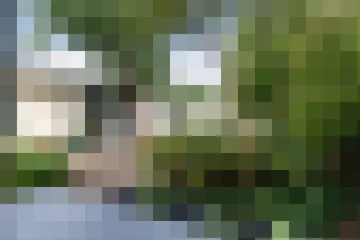 Wezelpad 9 Etten-Leur thumbnail 35