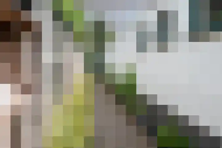 Wezelpad 9 Etten-Leur thumbnail 36