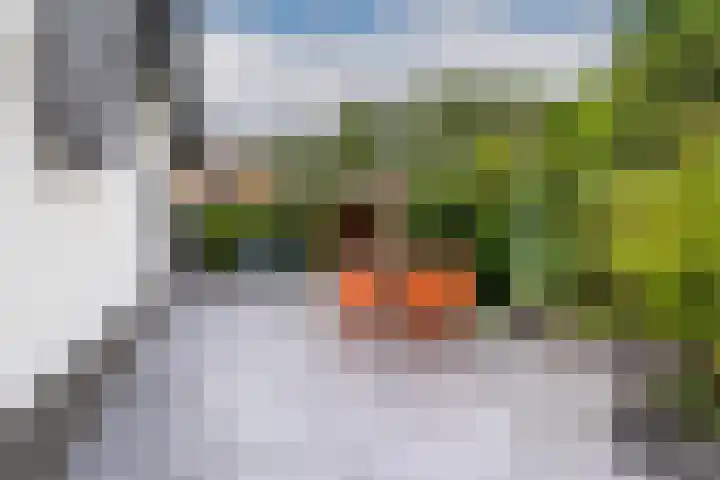 Wezelpad 9 Etten-Leur thumbnail 37
