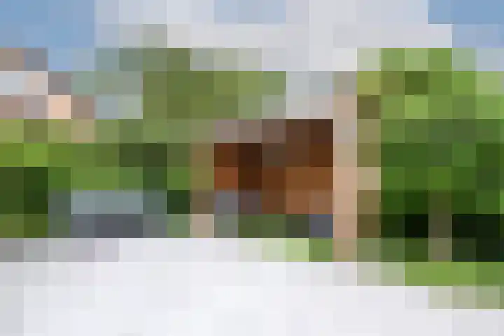 Wezelpad 9 Etten-Leur thumbnail 39