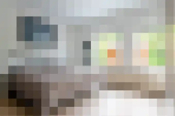 Wezelpad 9 Etten-Leur thumbnail 4