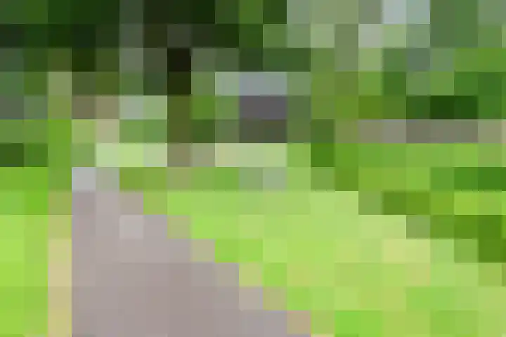 Wezelpad 9 Etten-Leur thumbnail 44