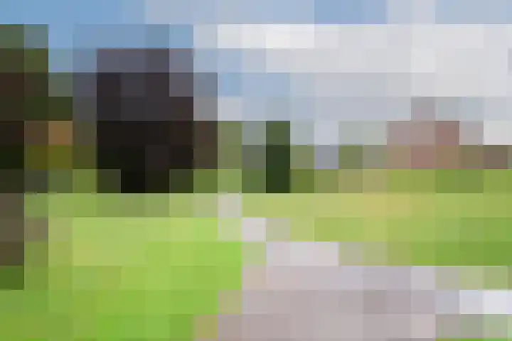 Wezelpad 9 Etten-Leur thumbnail 45