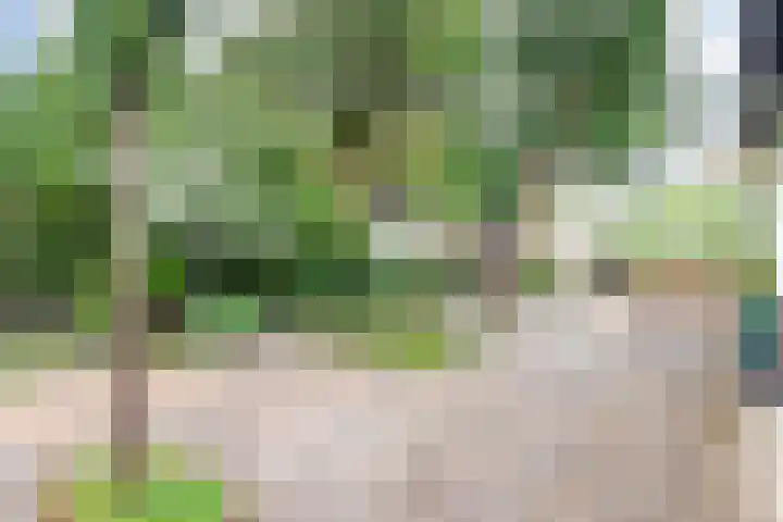 Wezelpad 9 Etten-Leur thumbnail 5