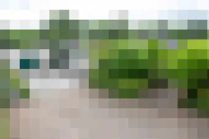Wezelpad 9 Etten-Leur thumbnail 6