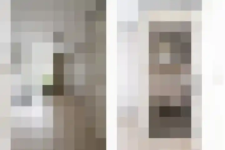 Wezelpad 9 Etten-Leur thumbnail 8