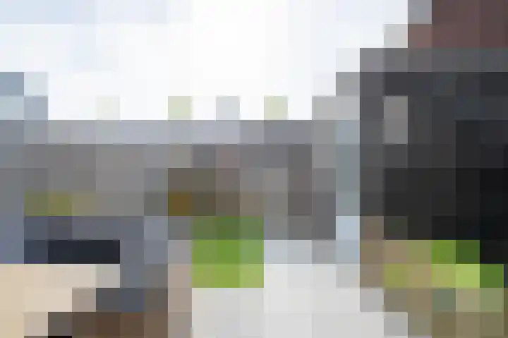 Wezelplein 19 Helmond thumbnail 37