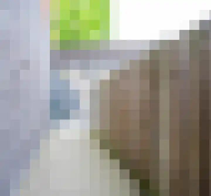 Wezelplein 19 Helmond thumbnail 38