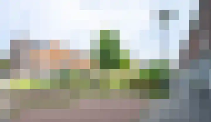 Wezelplein 19 Helmond thumbnail 40
