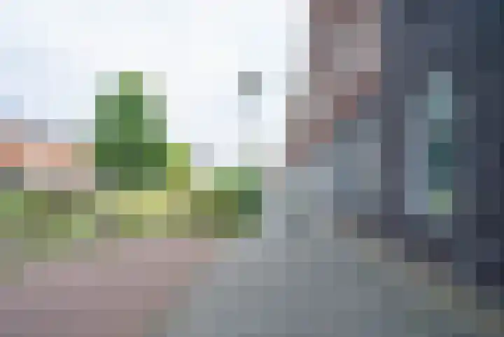 Wezelplein 19 Helmond thumbnail 41