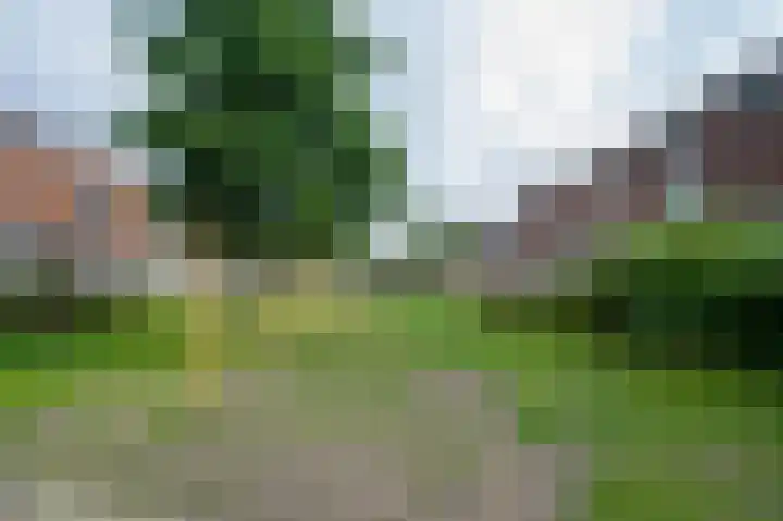 Wezelplein 19 Helmond thumbnail 42