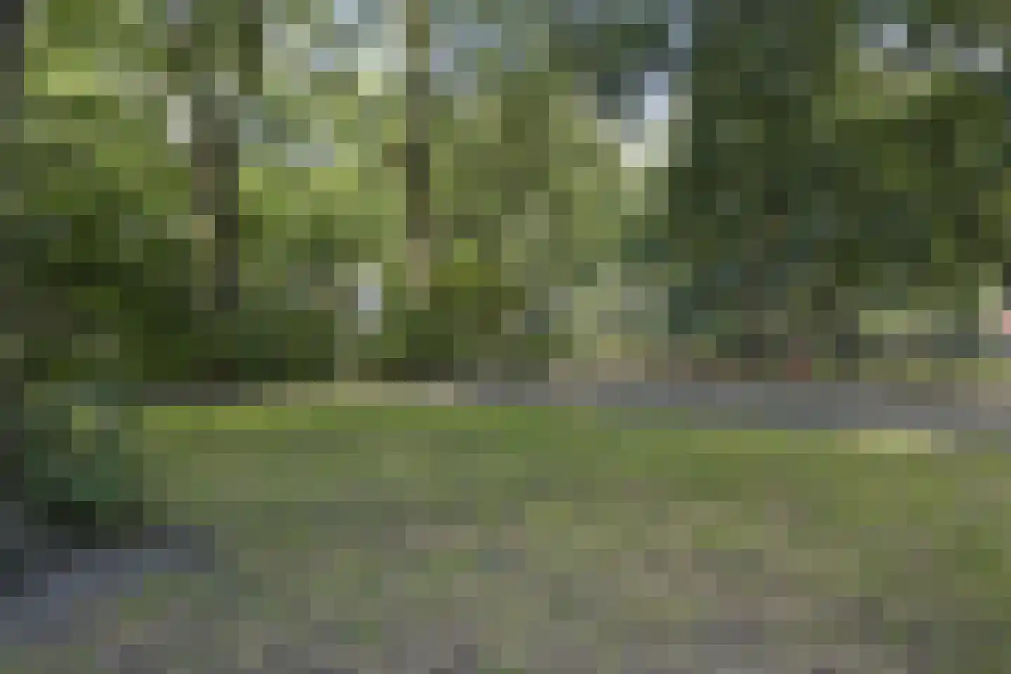 Wezelrade 147 B Den Haag thumbnail 30