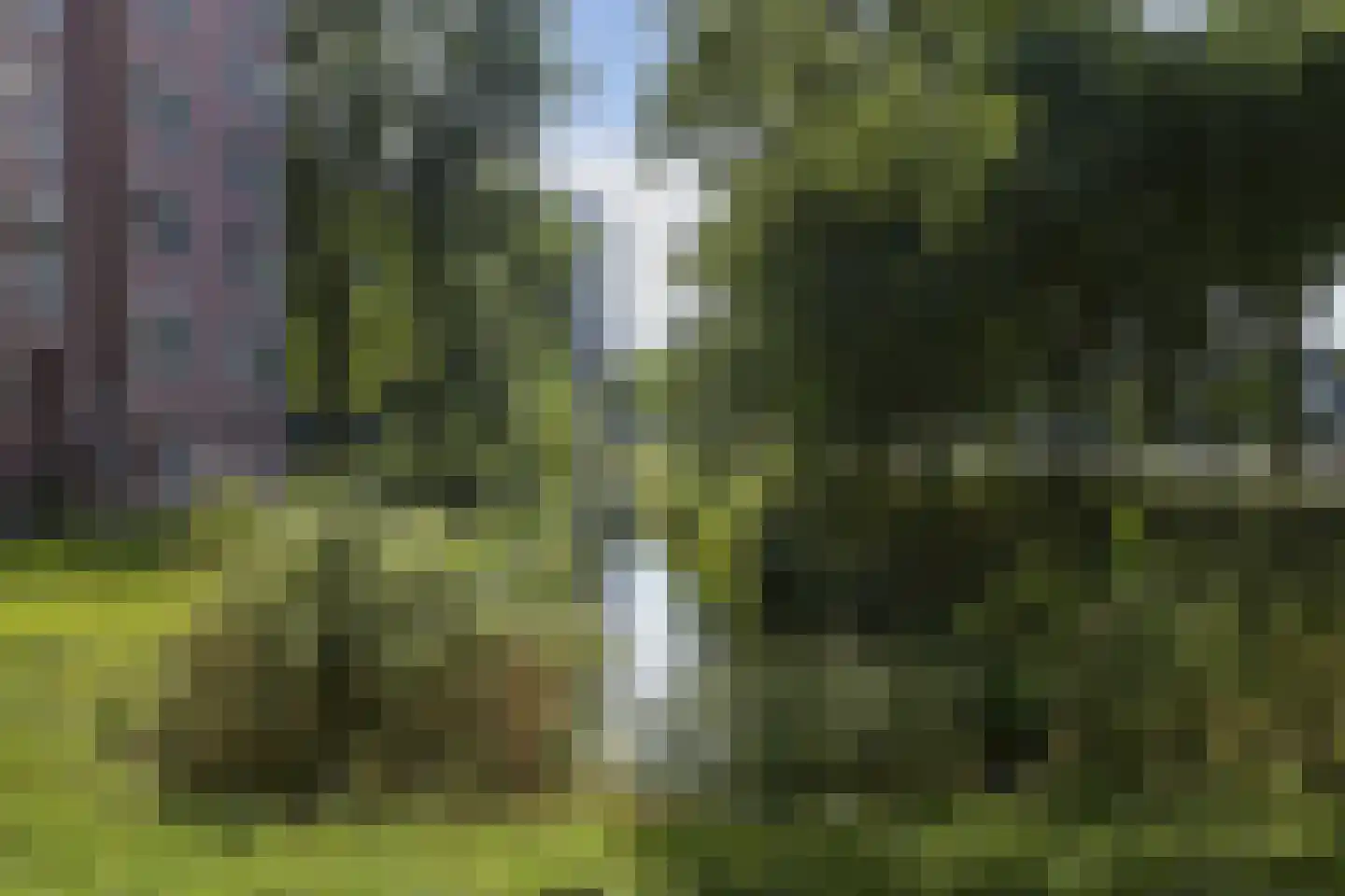 Wezelrade 147 B Den Haag thumbnail 6
