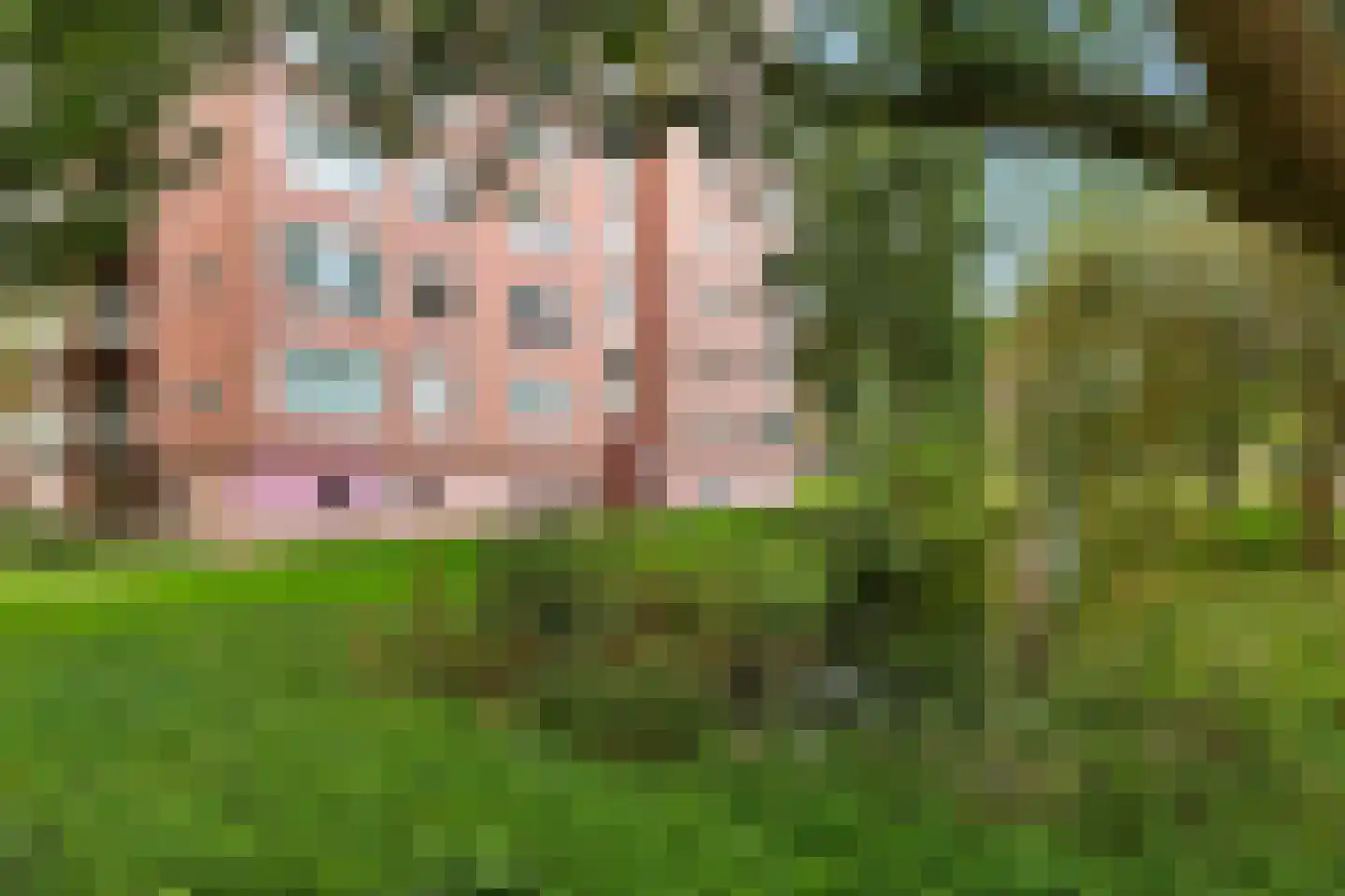 Wezelrade 153 A Den Haag thumbnail 23