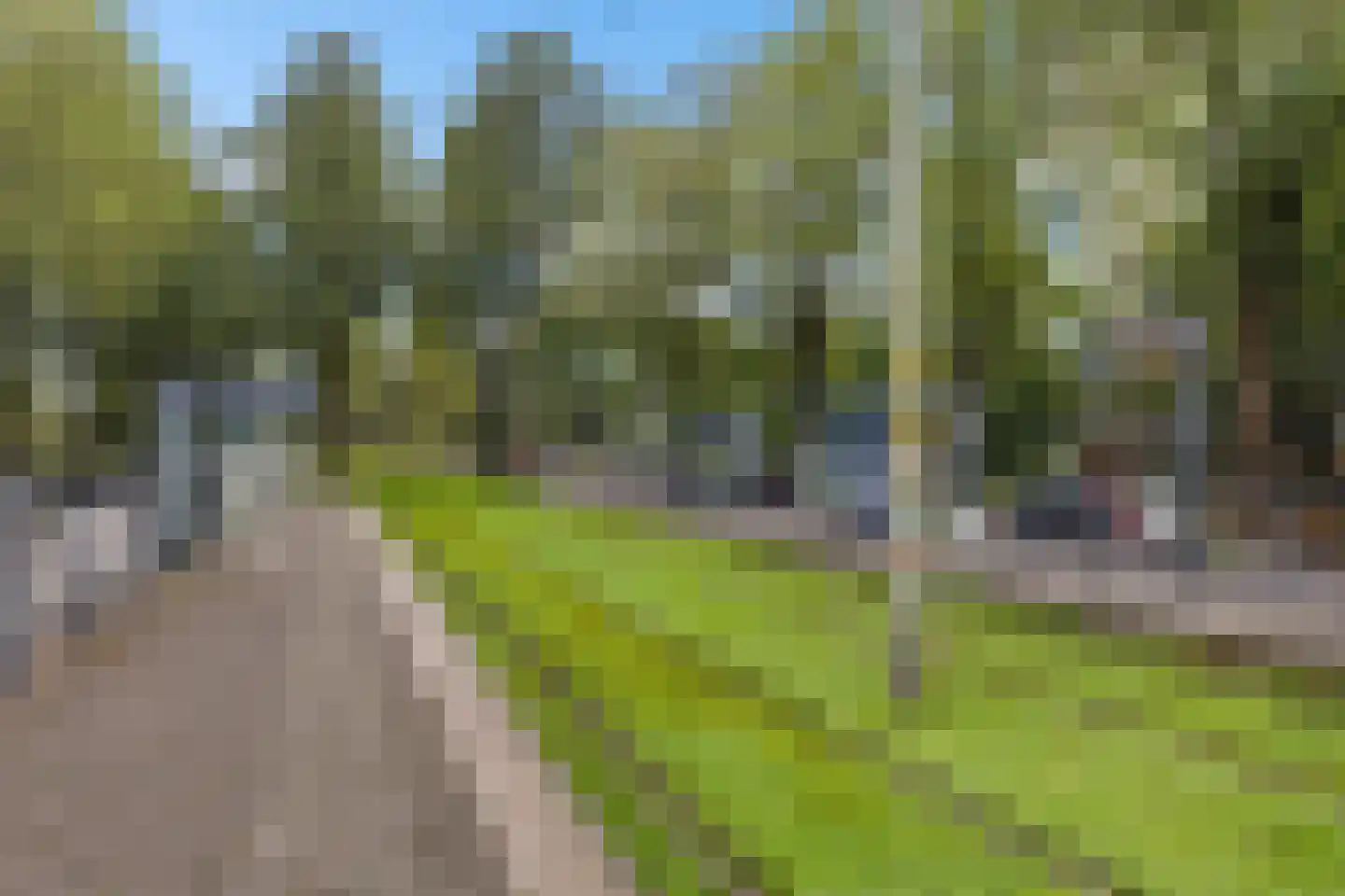 Wezelrade 153 A Den Haag thumbnail 24