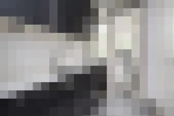 Wezelrade 202 Den Haag thumbnail 10