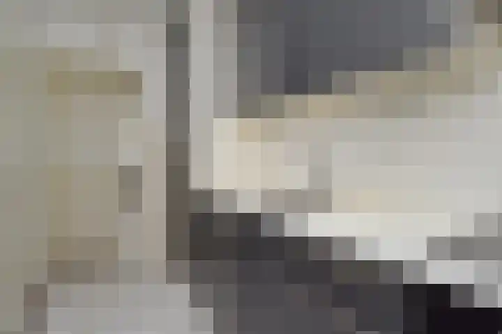 Wezelrade 202 Den Haag thumbnail 11