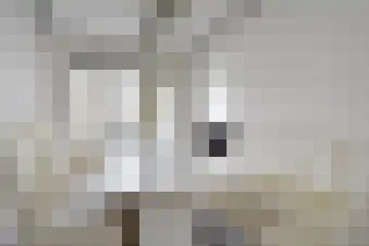 Wezelrade 202 Den Haag thumbnail 12