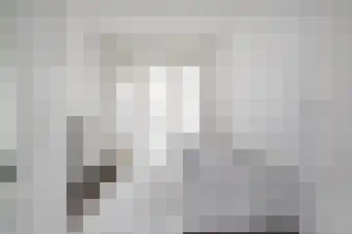 Wezelrade 202 Den Haag thumbnail 15