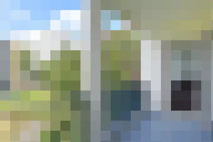 Wezelrade 202 Den Haag thumbnail 27