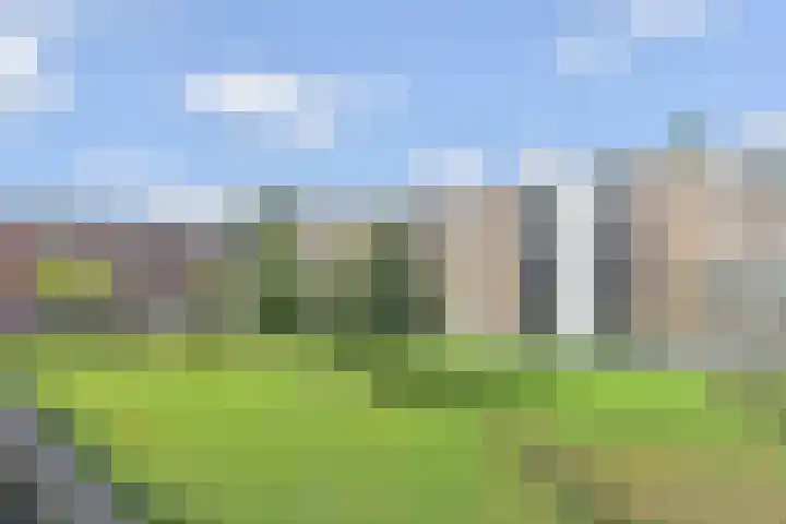 Wezelrade 202 Den Haag thumbnail 28