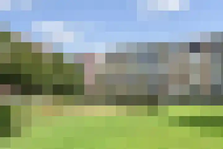 Wezelrade 202 Den Haag thumbnail 34