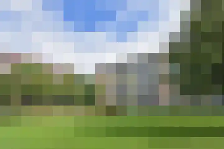 Wezelrade 202 Den Haag thumbnail 35