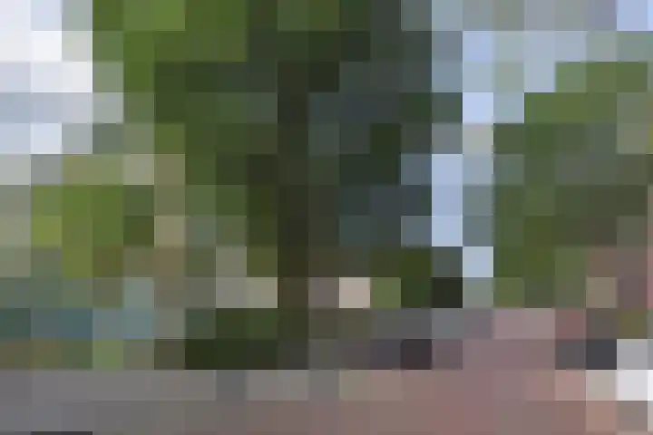 Wezelrade 202 Den Haag thumbnail 36