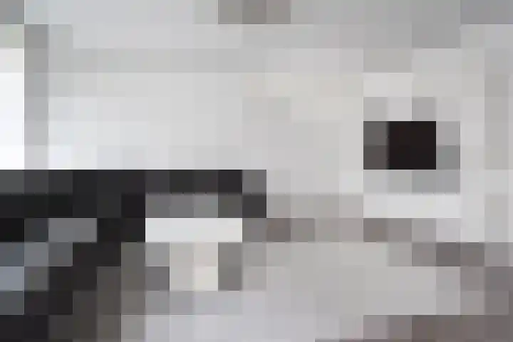 Wezelrade 202 Den Haag thumbnail 4