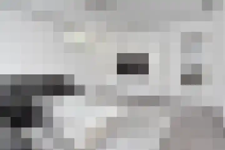 Wezelrade 202 Den Haag thumbnail 5
