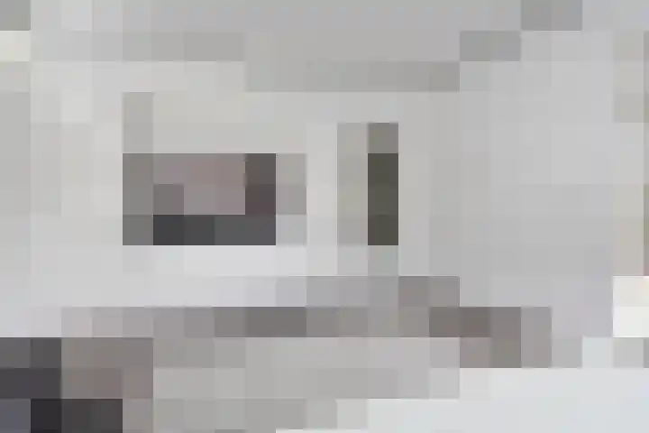 Wezelrade 202 Den Haag thumbnail 6