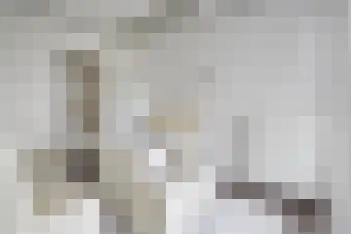 Wezelrade 202 Den Haag thumbnail 7