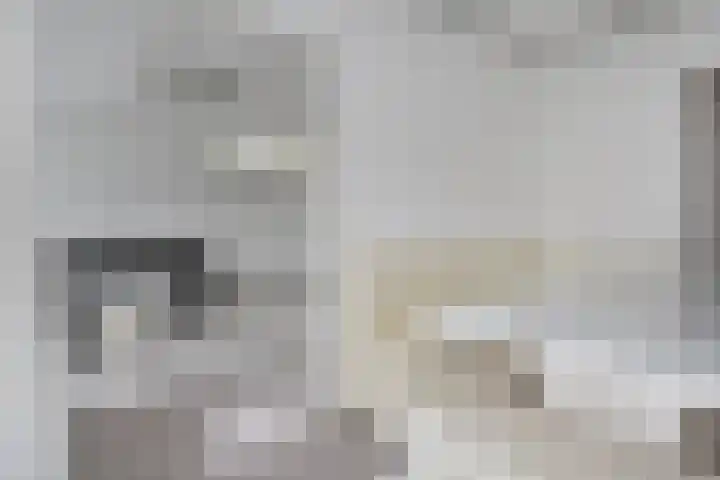 Wezelrade 202 Den Haag thumbnail 8