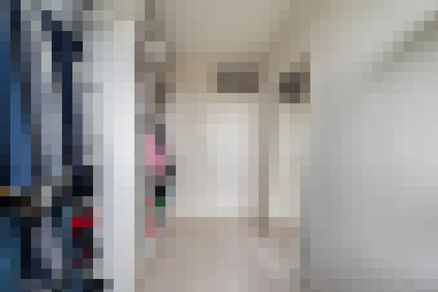 Wezelrade 21 Den Haag thumbnail 20