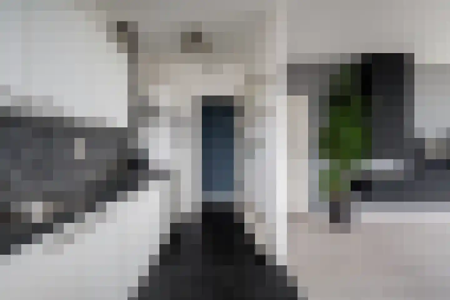 Wezelrade 21 Den Haag thumbnail 34