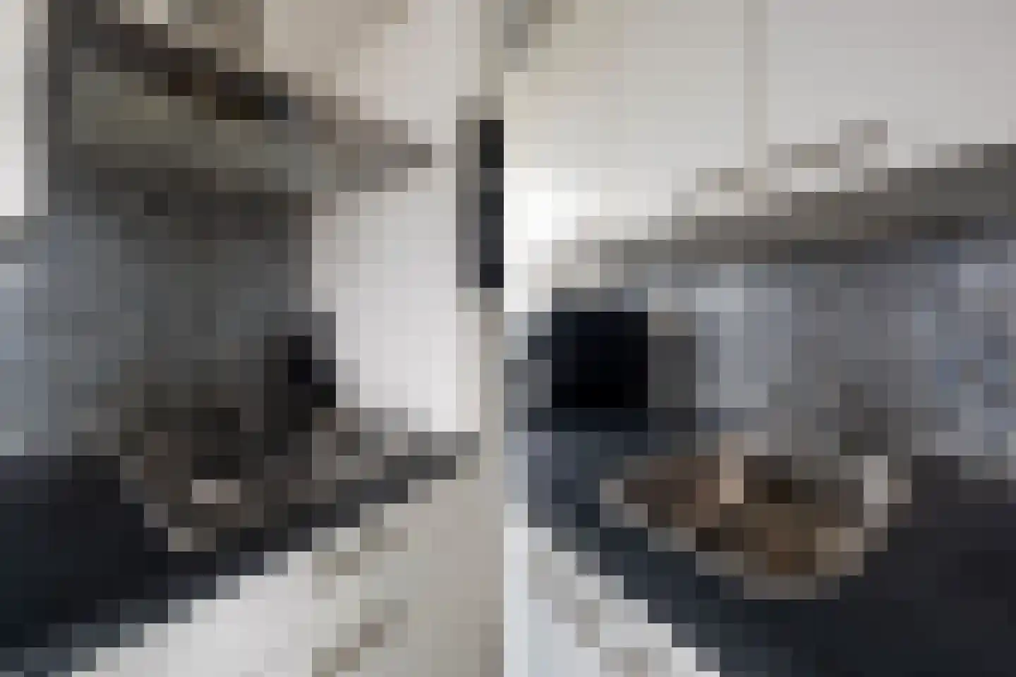 Wezelrade 21 Den Haag thumbnail 36