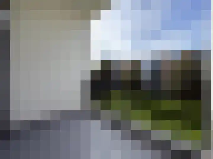 Wezelrade 220 Den Haag thumbnail 24