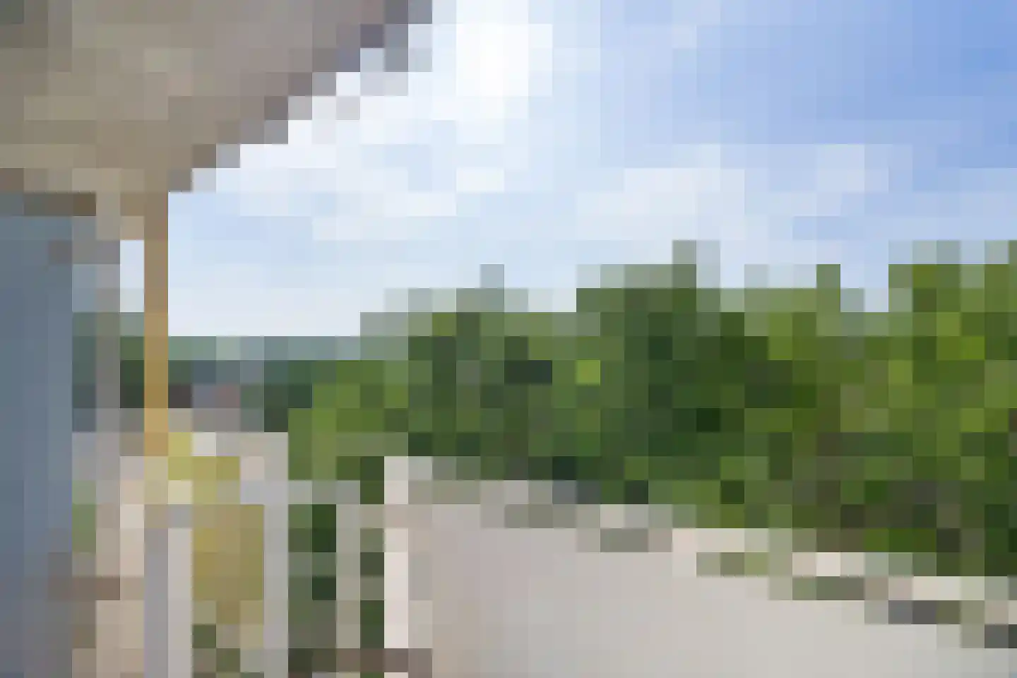 Wezelrade 75 A Den Haag thumbnail 21