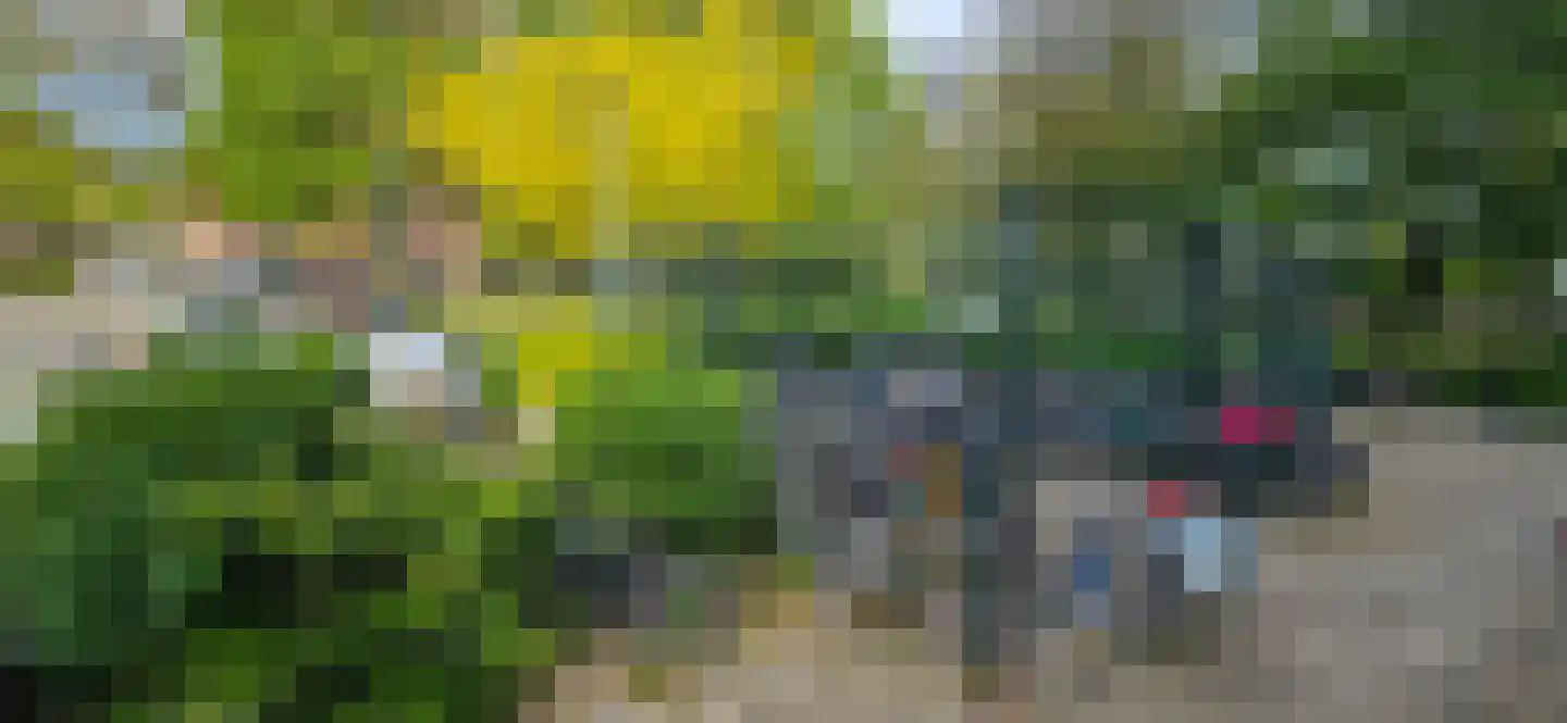 Wezelrade 89 Den Haag thumbnail 30