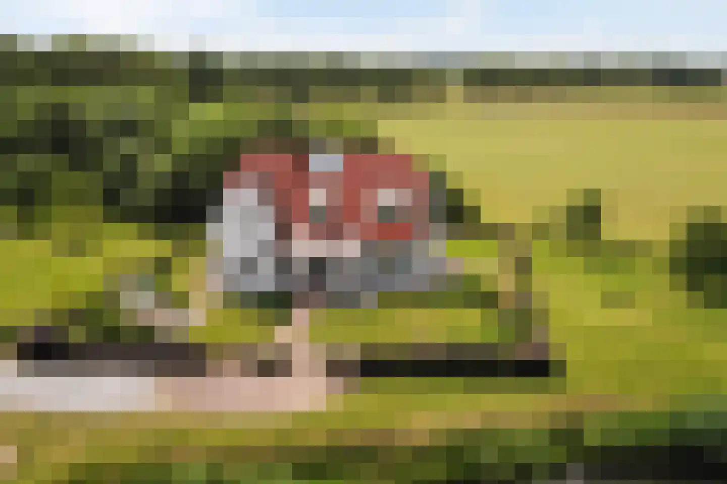 Wezelseveldweg 1 Leur