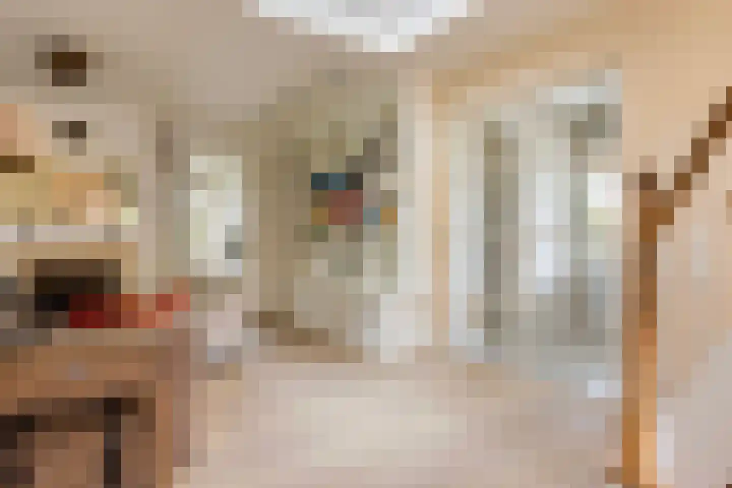 Wezelseveldweg 1 Leur thumbnail 10