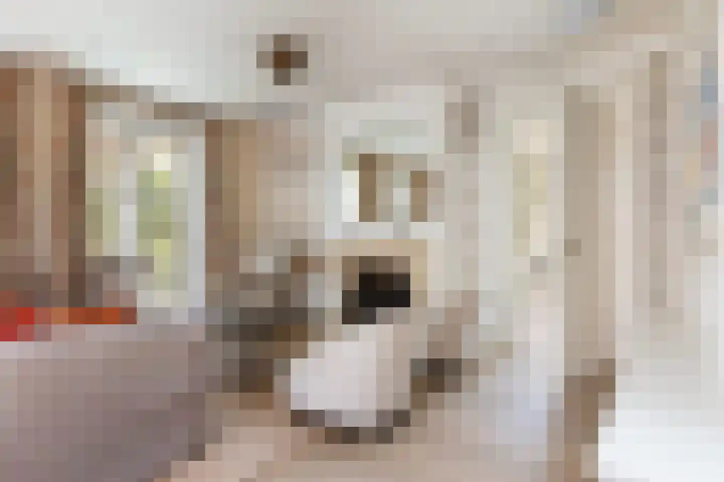 Wezelseveldweg 1 Leur thumbnail 12