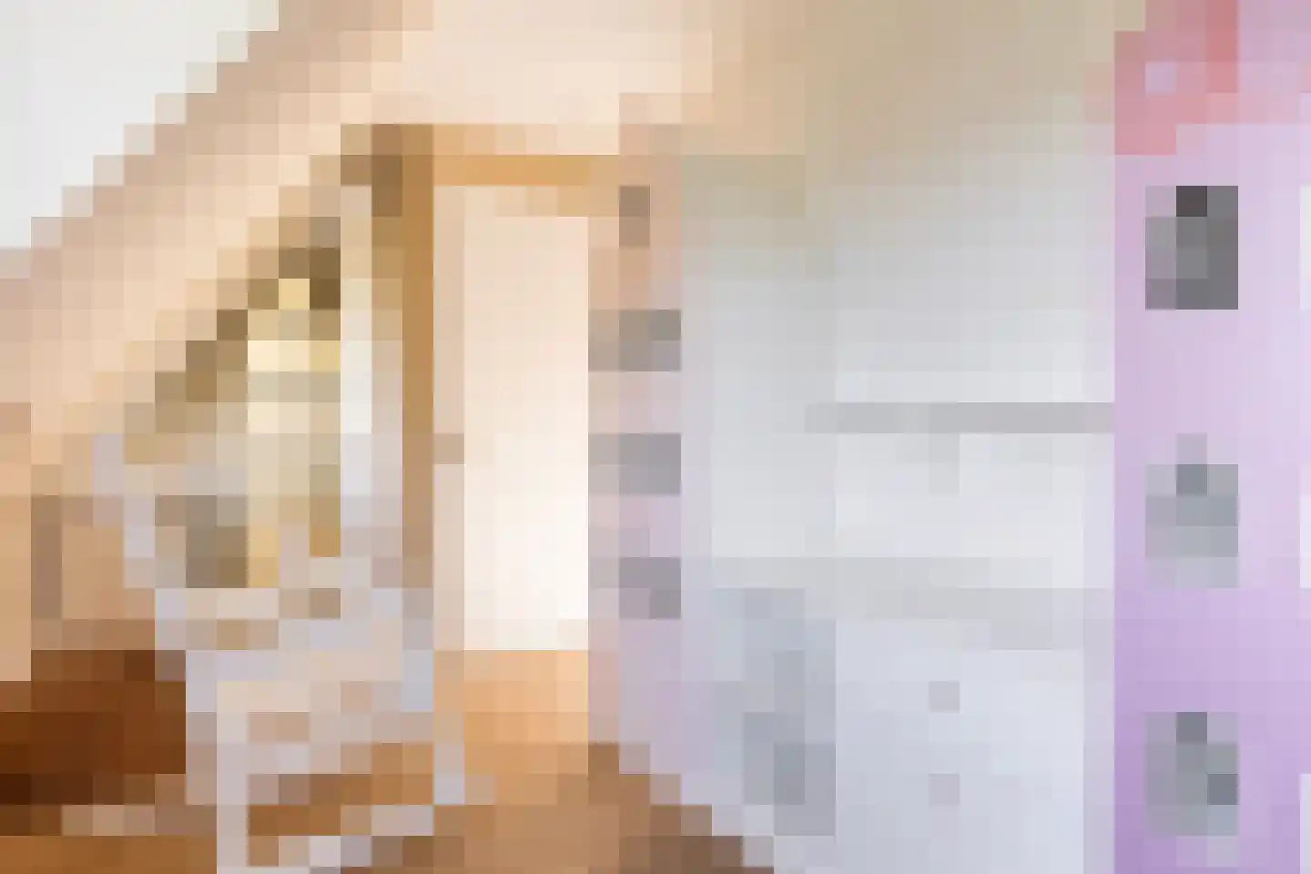 Wezelseveldweg 1 Leur thumbnail 51