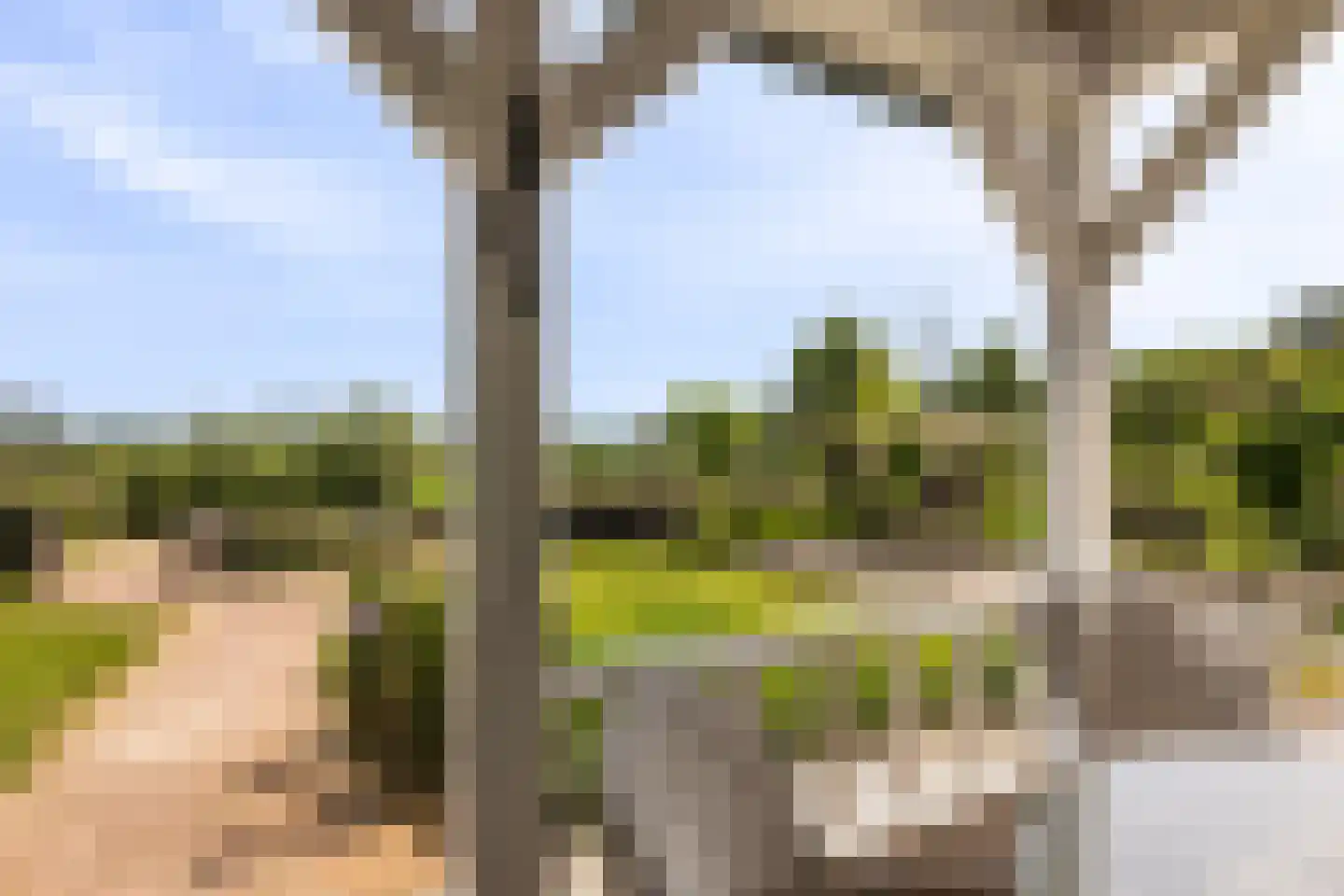 Wezelseveldweg 1 Leur thumbnail 62