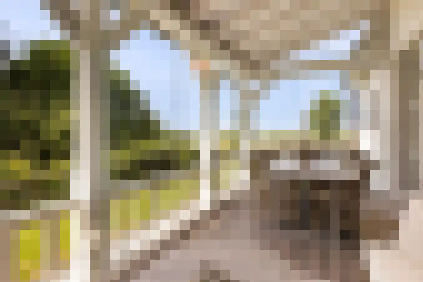 Wezelseveldweg 1 Leur thumbnail 63